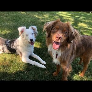 Meet your Posher, April